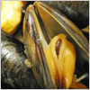Mini-moules