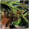 Terra-botanica