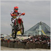 Enduropale-m